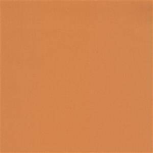 TERRACOTTA 054***
