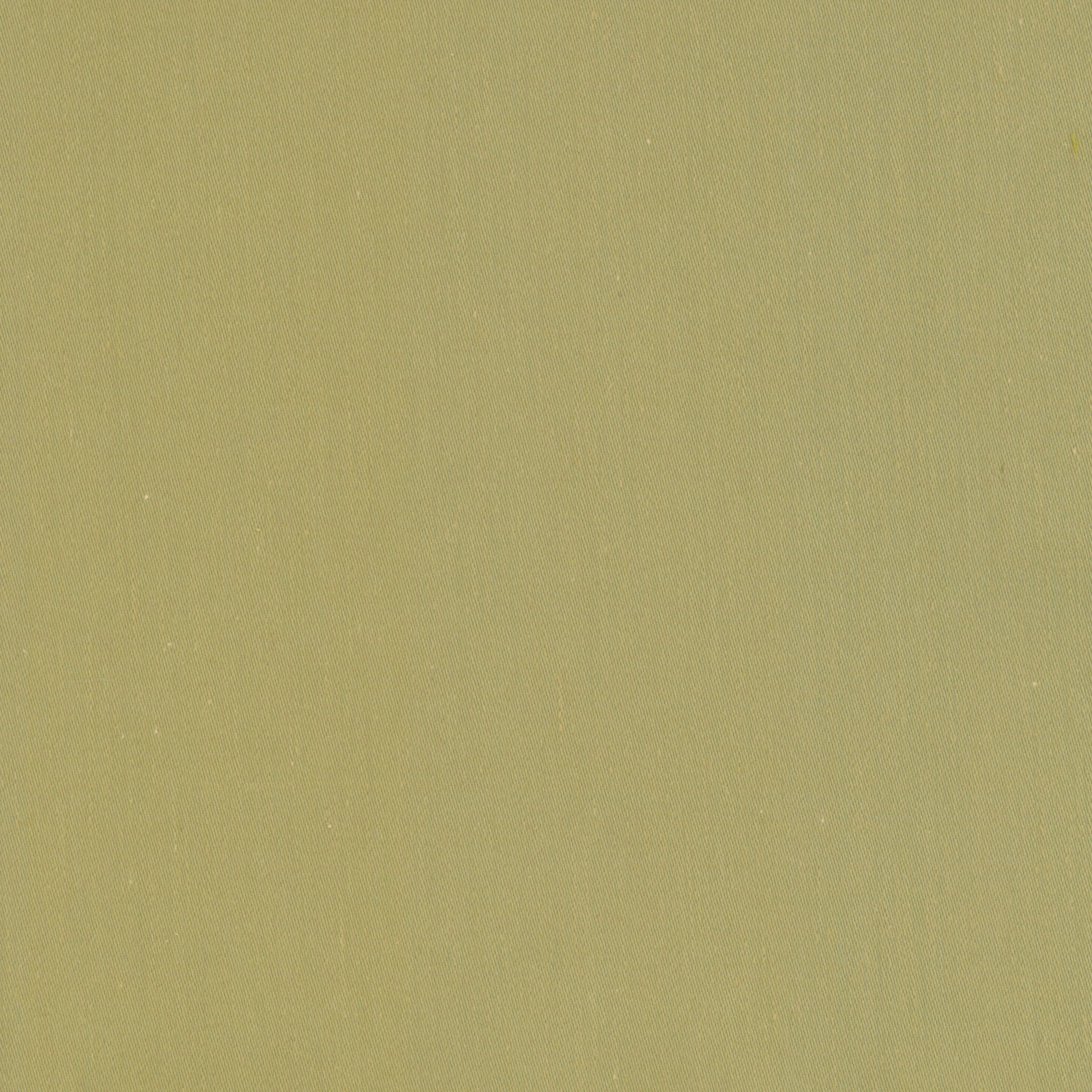 CAMO 055***