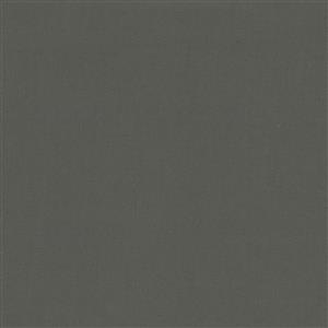 Pewter-071