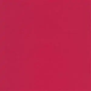 RASPBERRY 800***