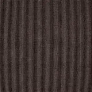 Cedar 11