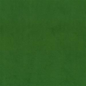 Basil-08