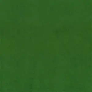 Basil-08