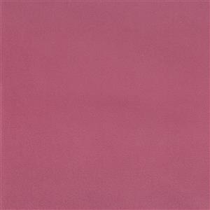 Sorbet-12
