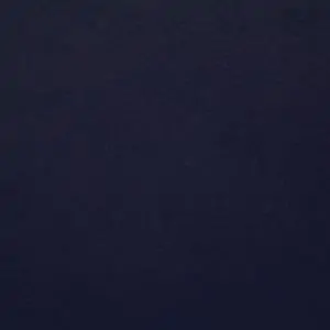 INSIGNIA BLUE-41