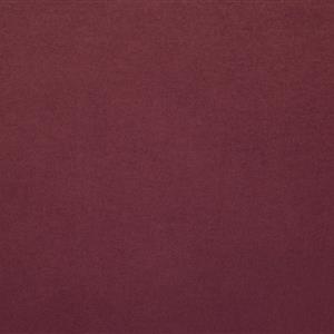 WILD GINGER-88