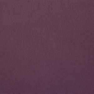 Plum-25