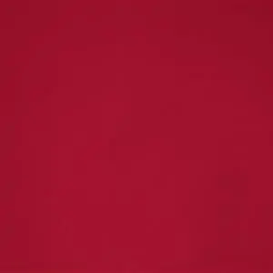 Raspberry 24