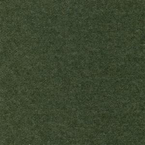 Lichen-24