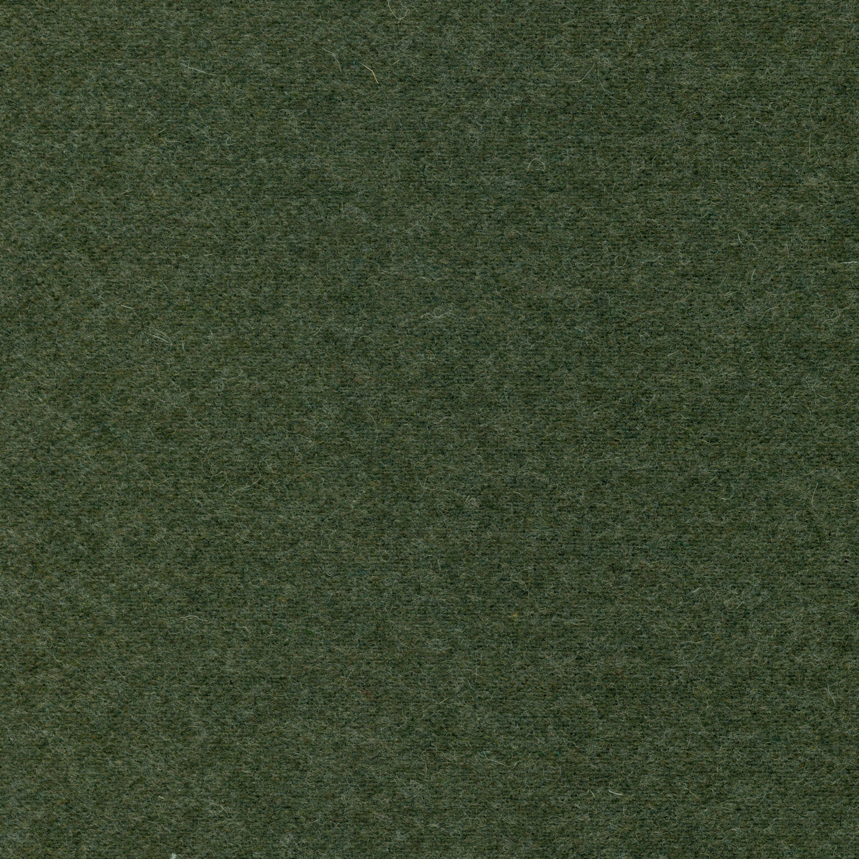 Lichen-24
