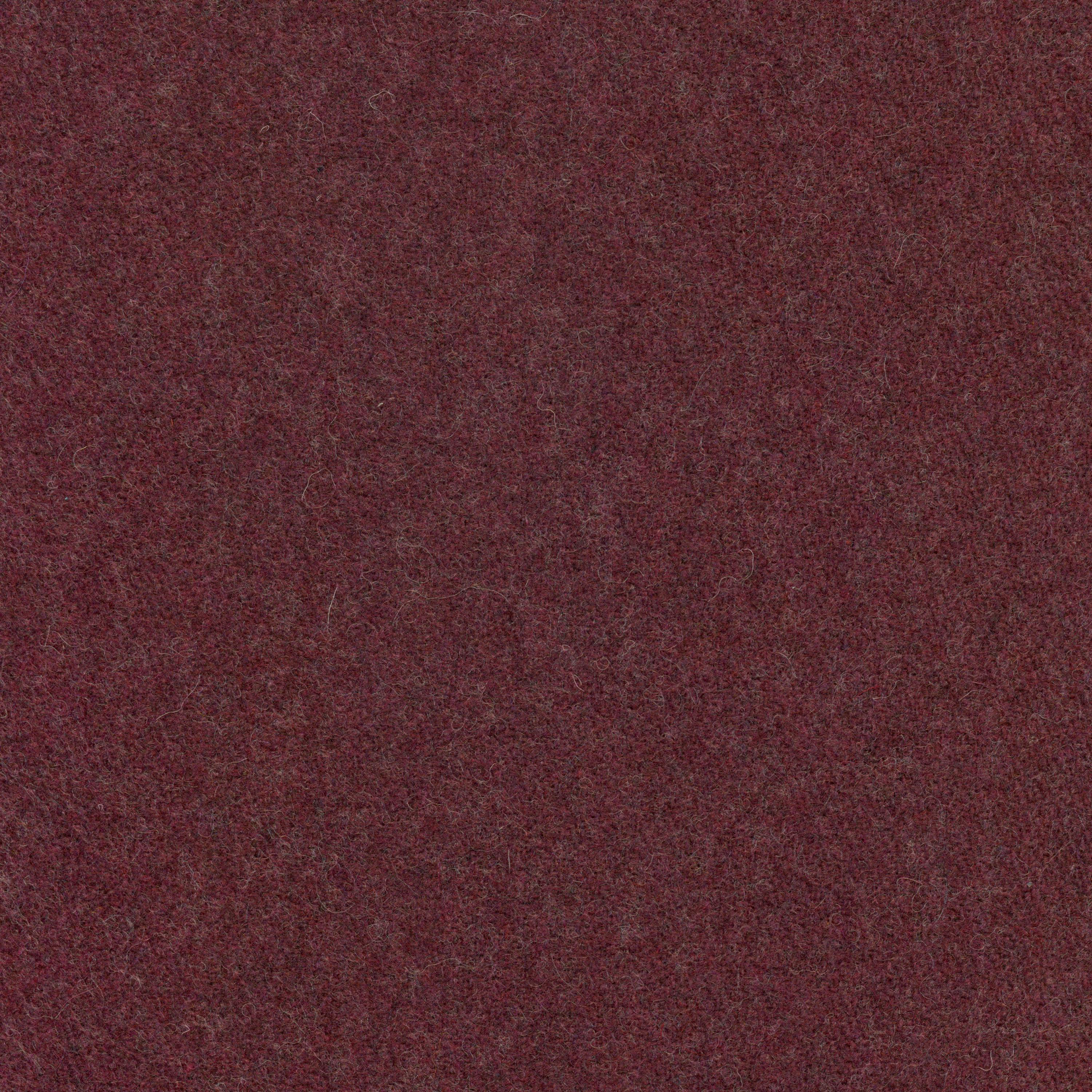 Plum-19