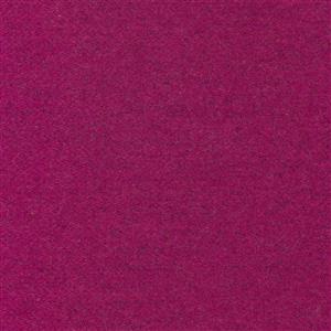 Fuchsia-20