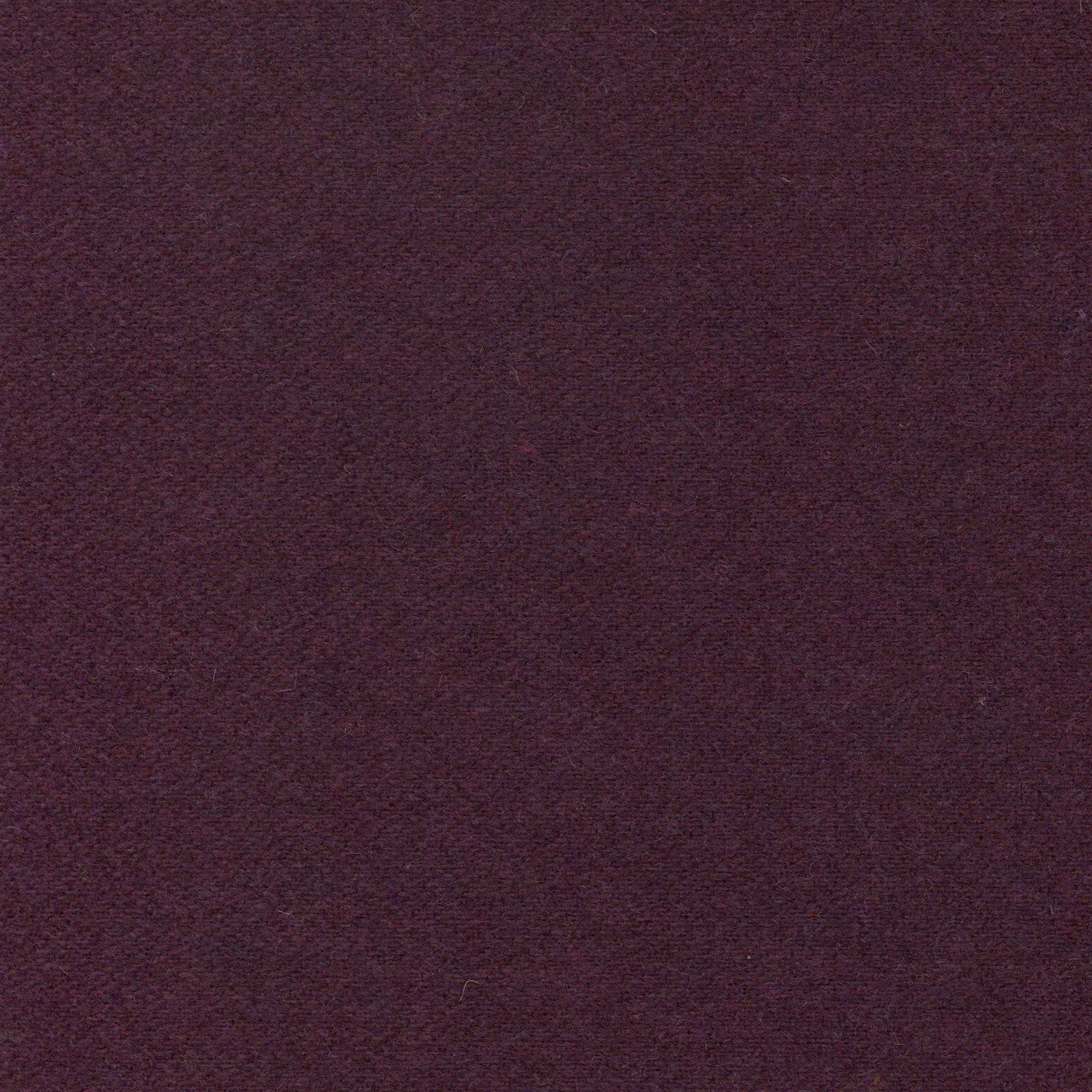 Eggplant-12