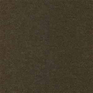 Chinchilla-08