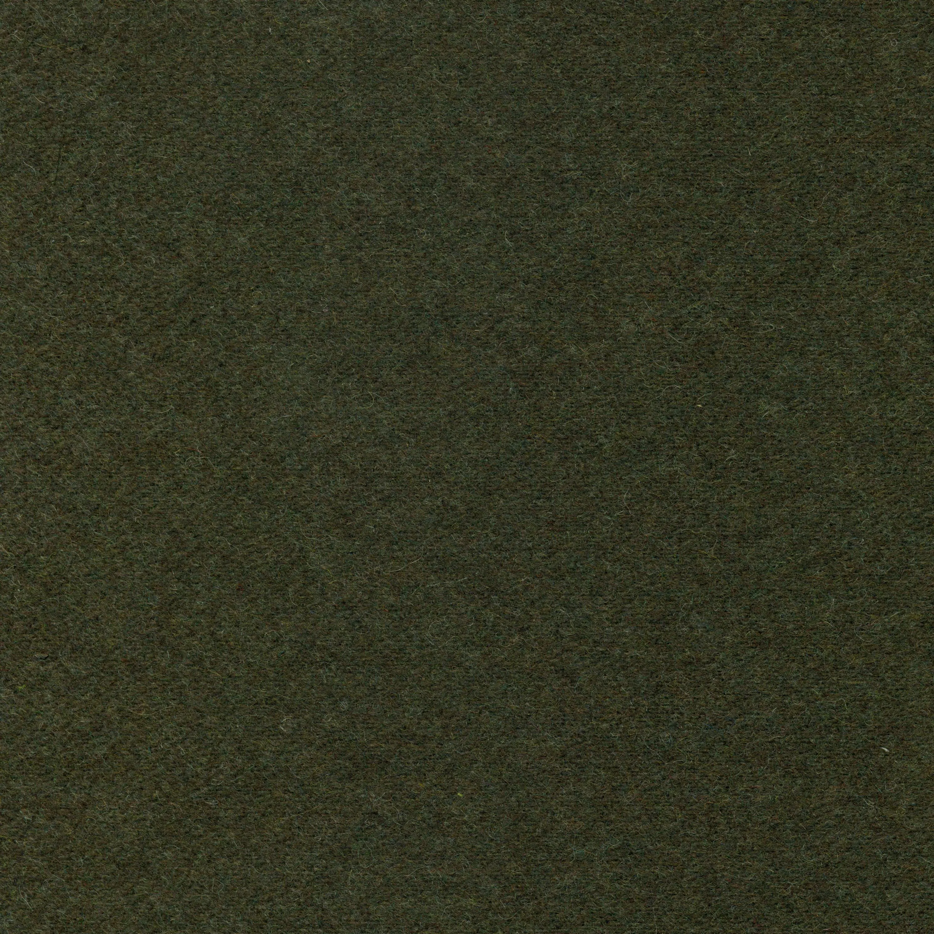 Olive-31