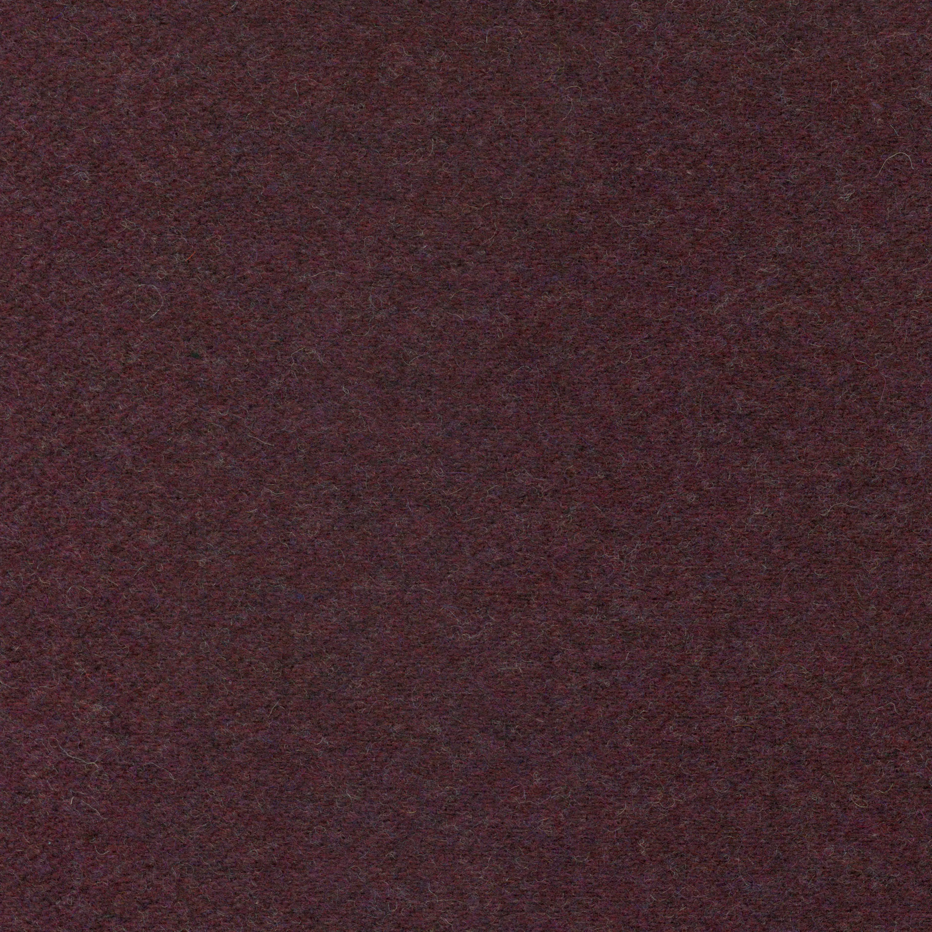 Aubergine-36