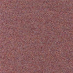 Sorbet-41