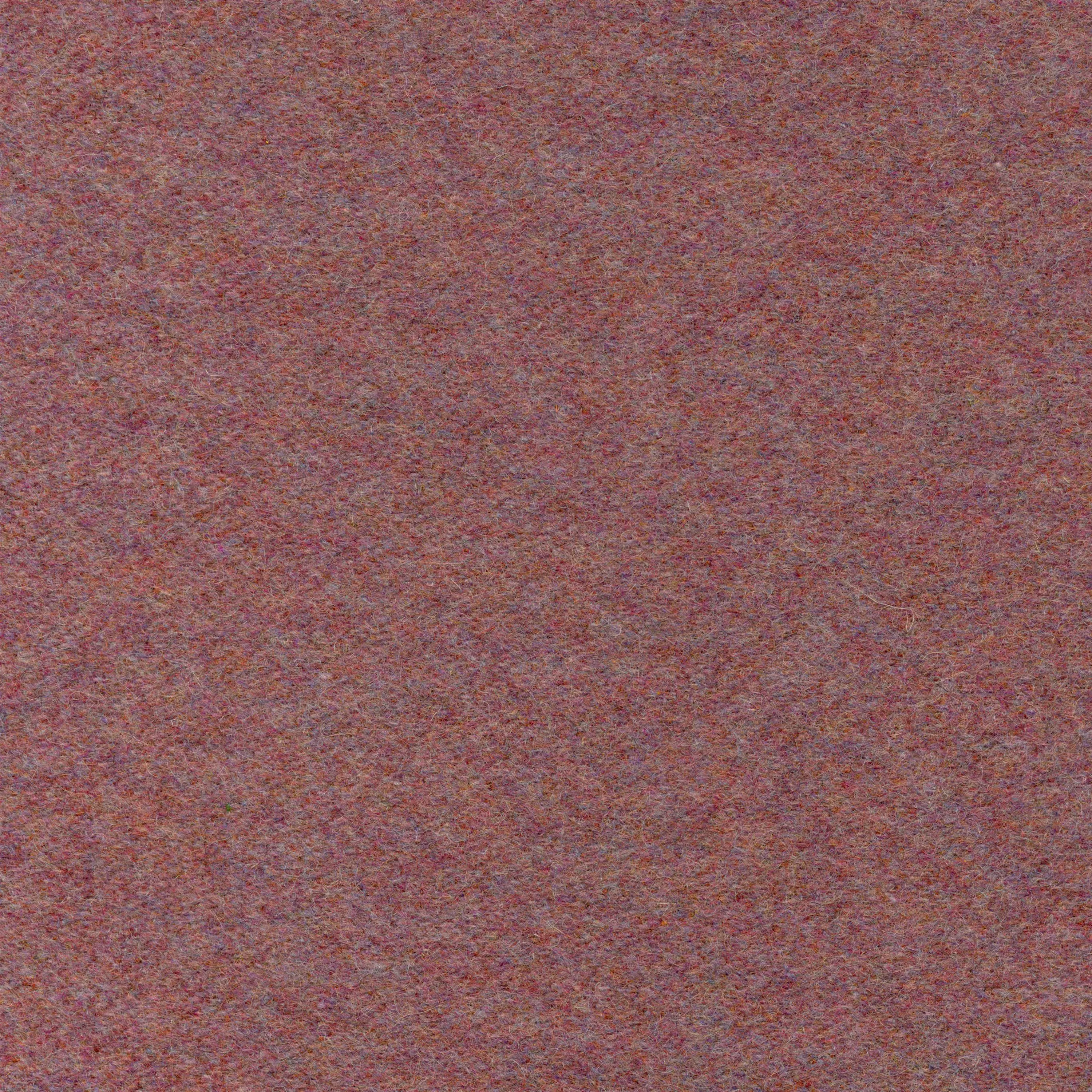 Sorbet-41