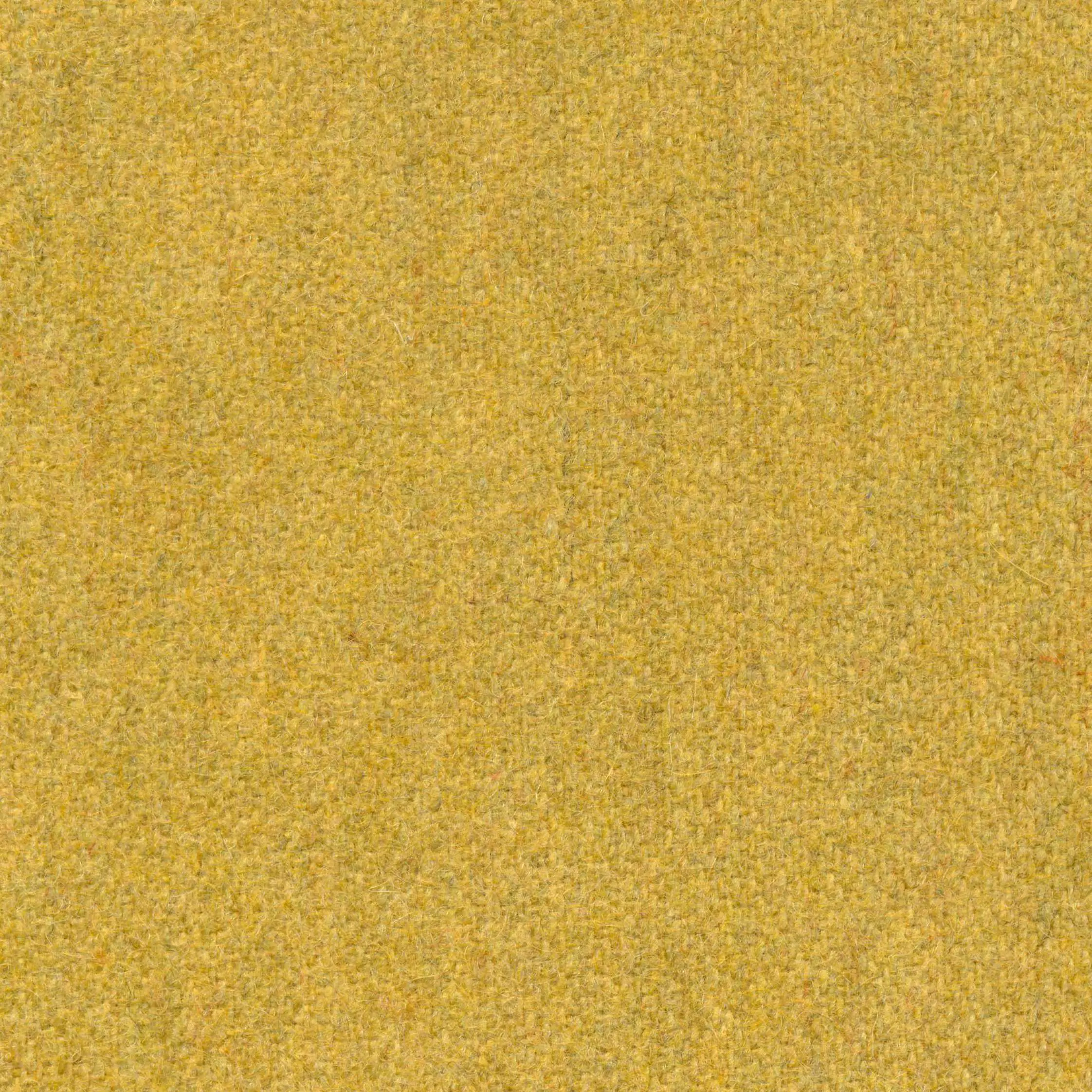 Mustard-63