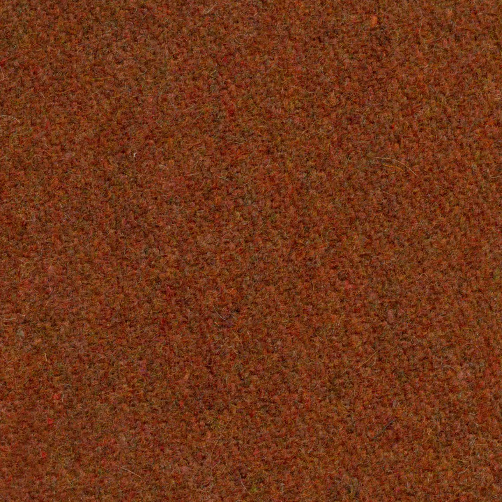 Autumn-58