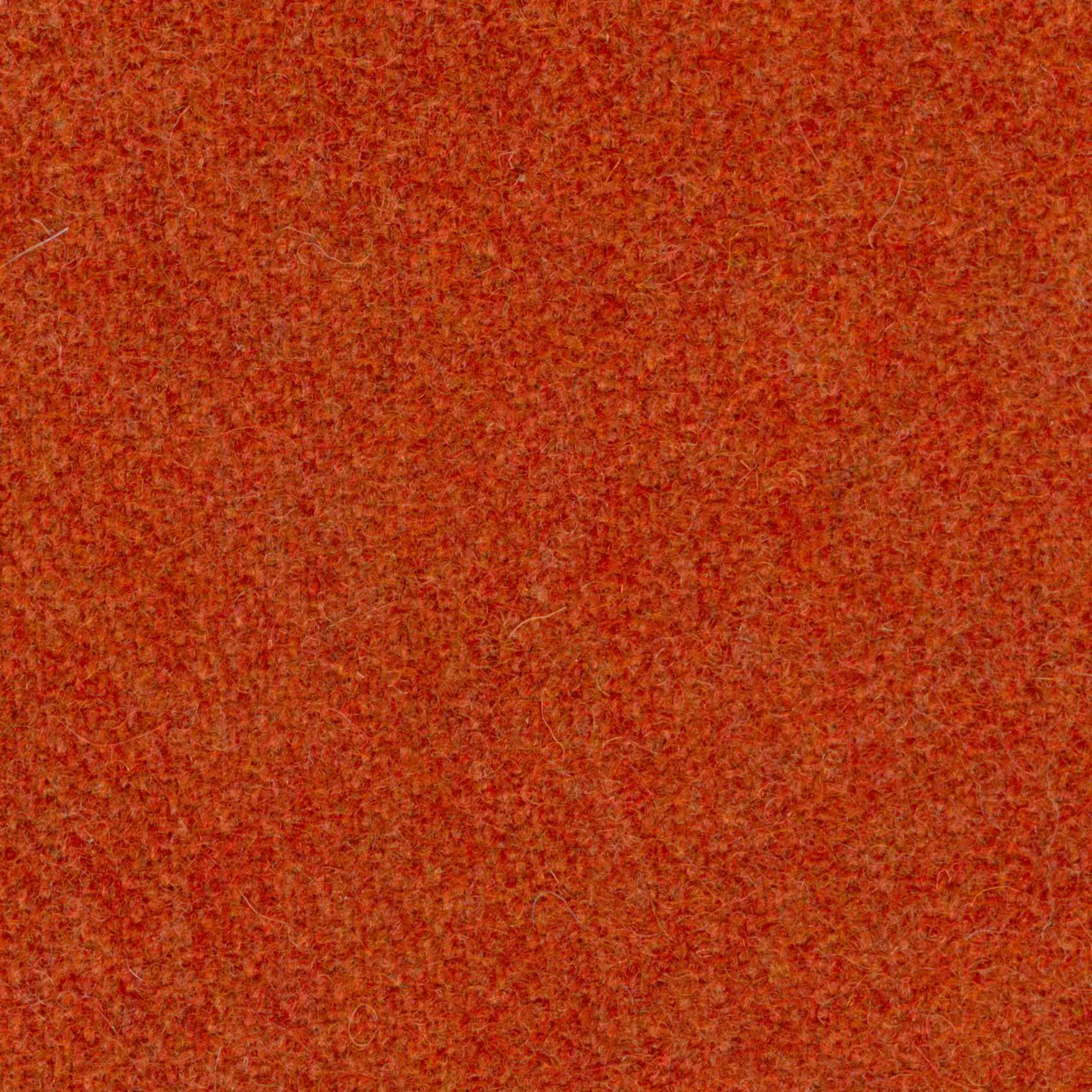 Sienna-62