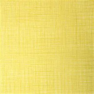 Alc.Col.Hip. Eggshell Gold Print 1001