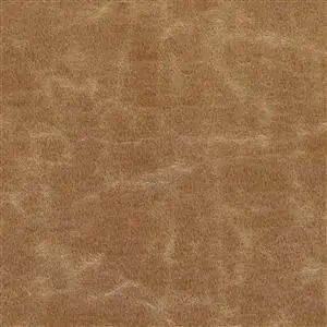 Teak 795