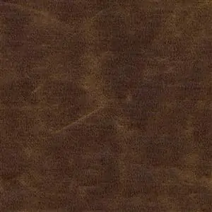 Coffee Bean 565