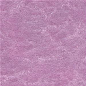 Elderberry 819