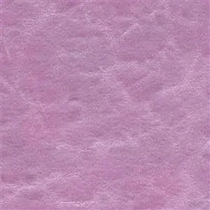 Elderberry 819
