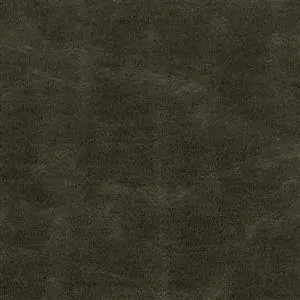 Dark Earth 550