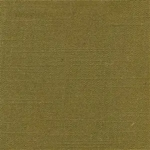 Butternut 360