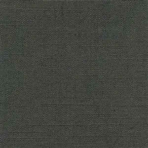 Dark Shadow 910