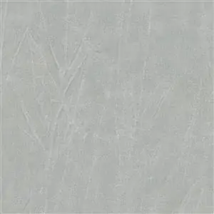 GENTLEMAN DOVE 616***