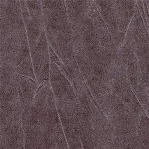 GENTLEMAN WINETASTING 880***