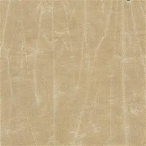 GENTLEMAN INTENSE 723***