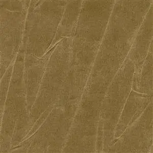 GENTLEMAN BUTTERNUT 346***