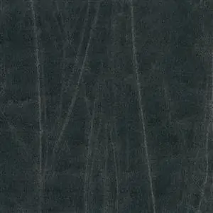 GENTLEMAN DARK SHADOW 667***