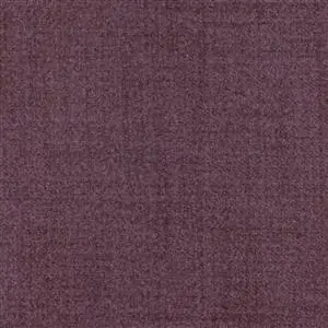 Aubergine 71