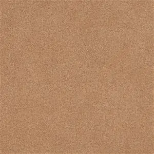 Camel 3051