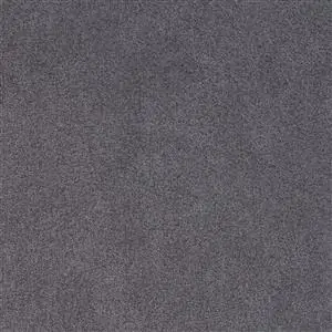 Chic Grey 6404
