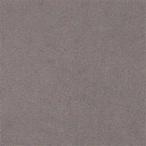 Stone Grey 5810