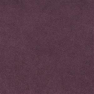 Aubergine 7569