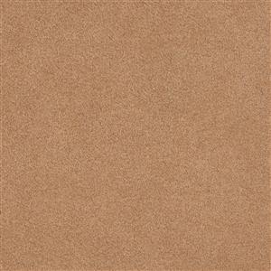 Camel 3051