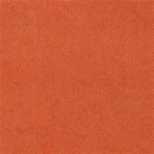 Cadmium Orange 4025
