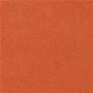 501 CADMIUM ORANGE 4025
