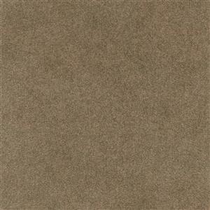 Mocha P210