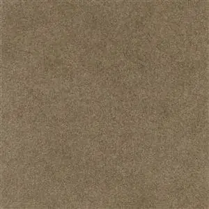 5015 MOCHA P210