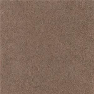 Praline 4061