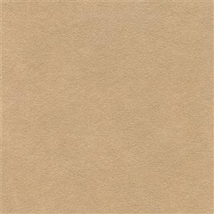 Dune 1254